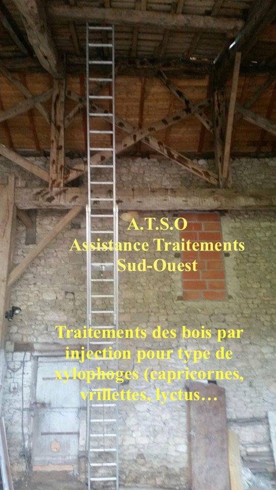 Traitement des bois par injection