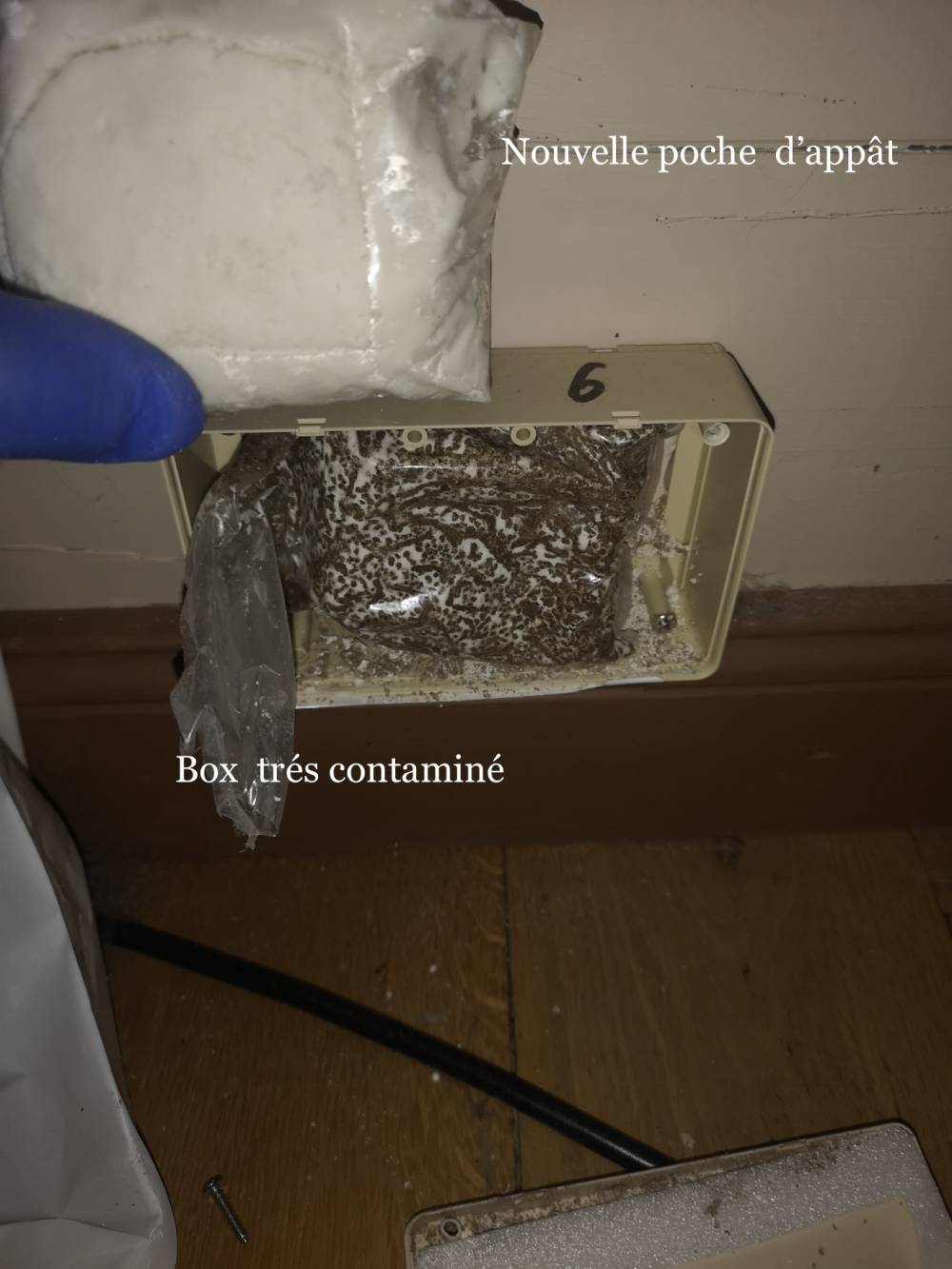 Box et recharge appât